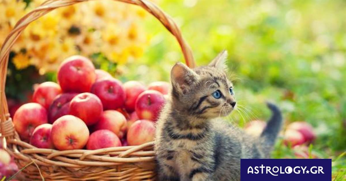 Διάβασε ΔΩΡΕΑΝ την προσωπική σου πρόβλεψη, για σήμερα 03/10/2022