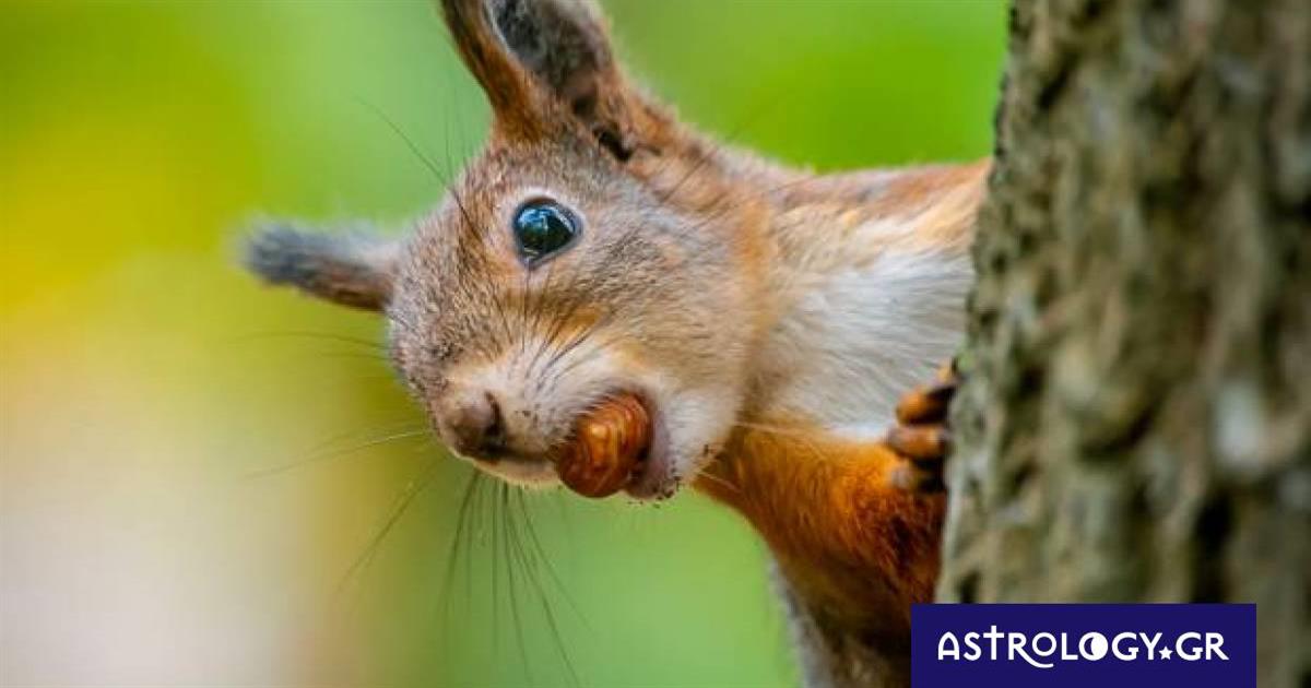 Διάβασε ΔΩΡΕΑΝ την προσωπική σου πρόβλεψη, για σήμερα 05/10/2022