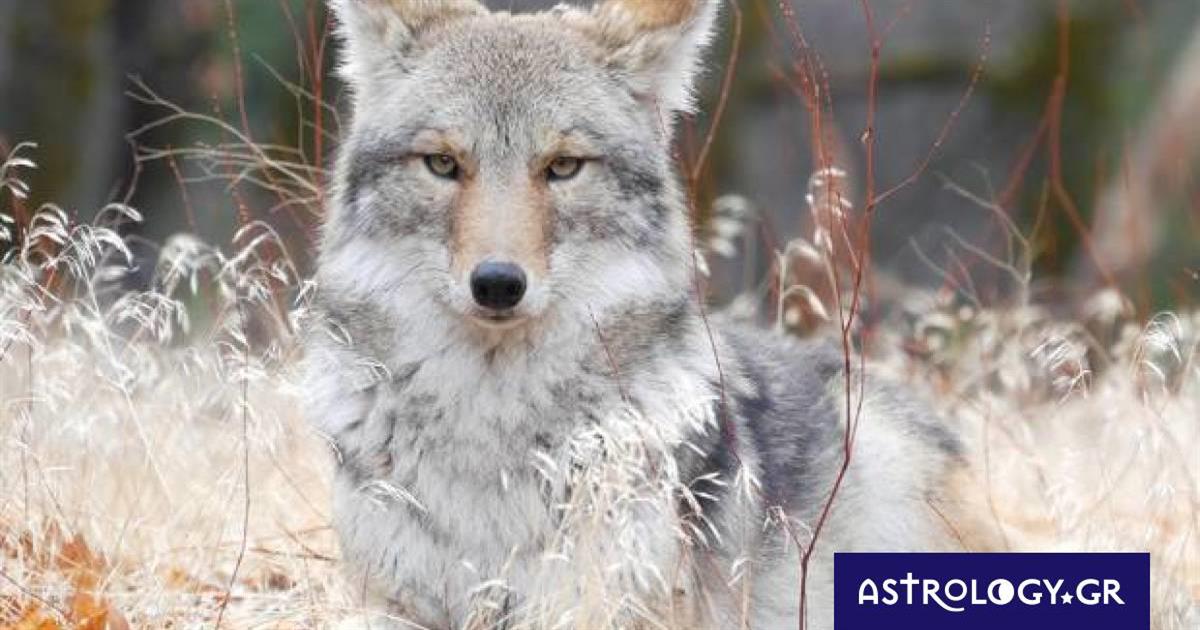 Διάβασε ΔΩΡΕΑΝ την προσωπική σου πρόβλεψη, για σήμερα 07/10/2022