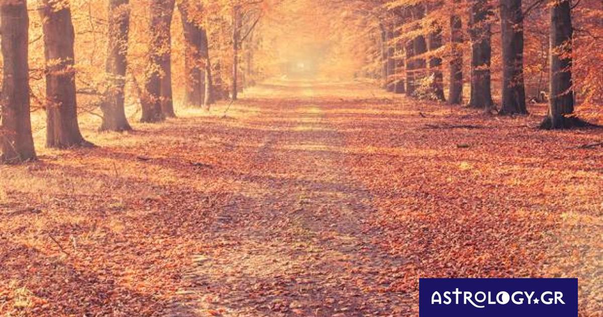 Διάβασε ΔΩΡΕΑΝ την προσωπική σου πρόβλεψη, για σήμερα 08/10/2022