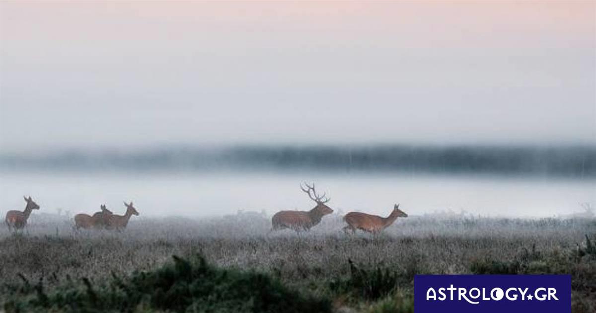 Διάβασε ΔΩΡΕΑΝ την προσωπική σου πρόβλεψη, για σήμερα 09/10/2022