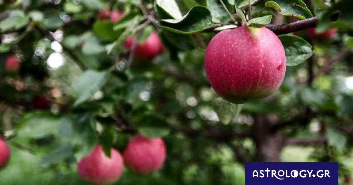 Διάβασε ΔΩΡΕΑΝ την προσωπική σου πρόβλεψη, για σήμερα 12/10/2022