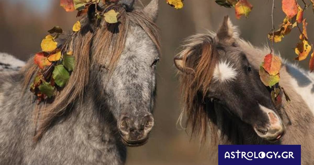 Διάβασε ΔΩΡΕΑΝ την προσωπική σου πρόβλεψη, για σήμερα 13/10/2022