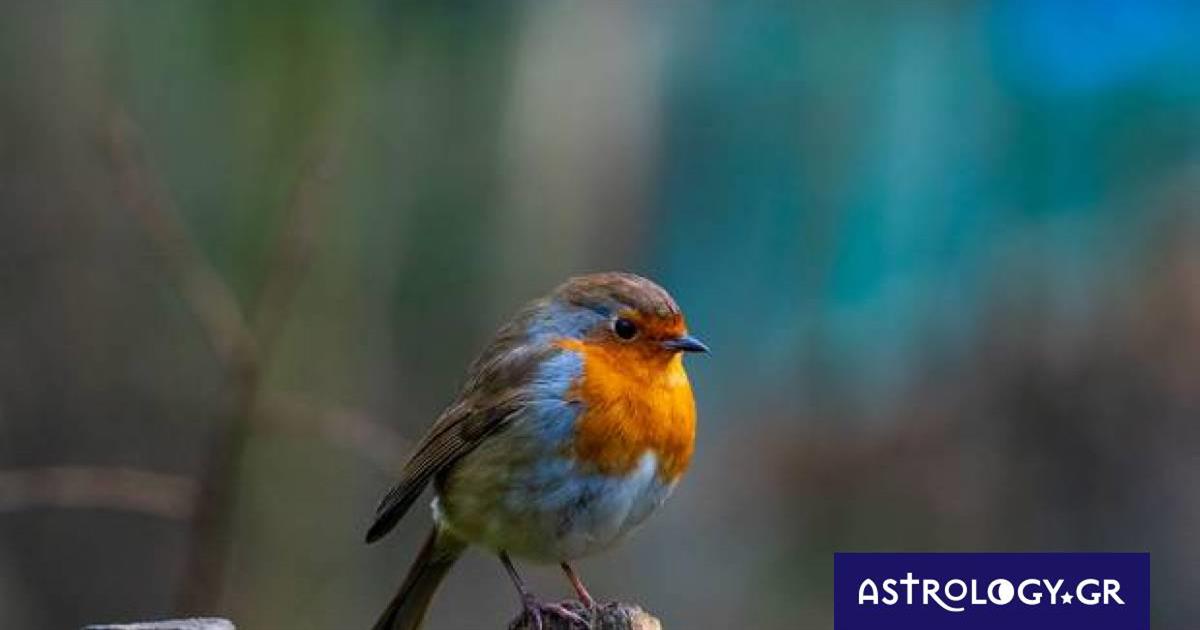 Διάβασε ΔΩΡΕΑΝ την προσωπική σου πρόβλεψη, για σήμερα 15/10/2022