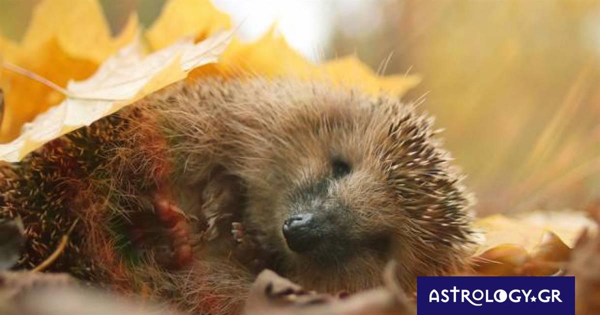 Διάβασε ΔΩΡΕΑΝ την προσωπική σου πρόβλεψη, για σήμερα 18/10/2022