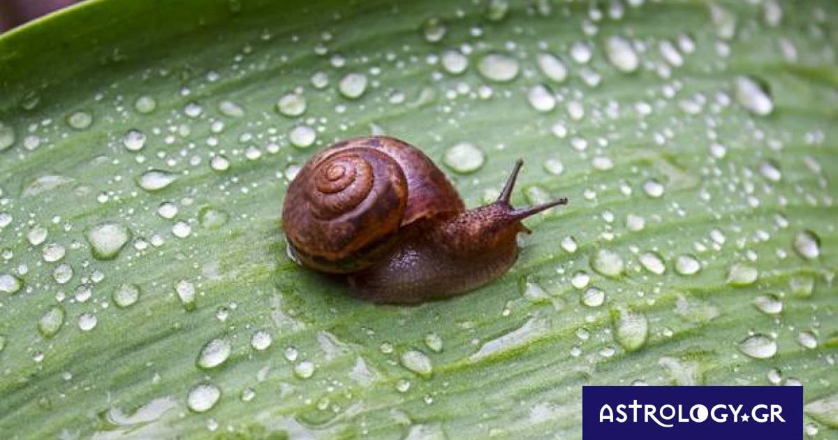 Διάβασε ΔΩΡΕΑΝ την προσωπική σου πρόβλεψη, για σήμερα 19/10/2022