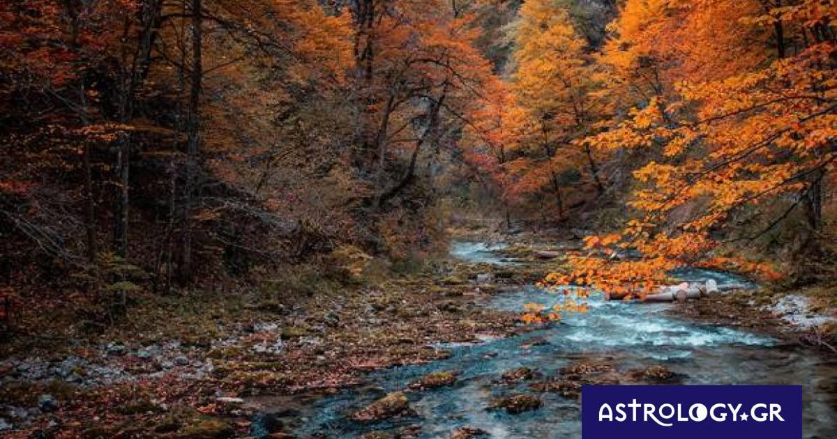 Διάβασε ΔΩΡΕΑΝ την προσωπική σου πρόβλεψη, για σήμερα 20/10/2022