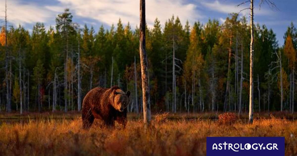 Διάβασε ΔΩΡΕΑΝ την προσωπική σου πρόβλεψη, για σήμερα 21/10/2022