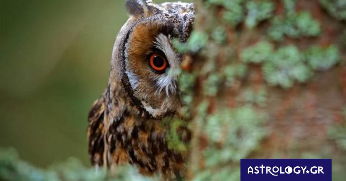 Διάβασε ΔΩΡΕΑΝ την προσωπική σου πρόβλεψη, για σήμερα 22/10/2022