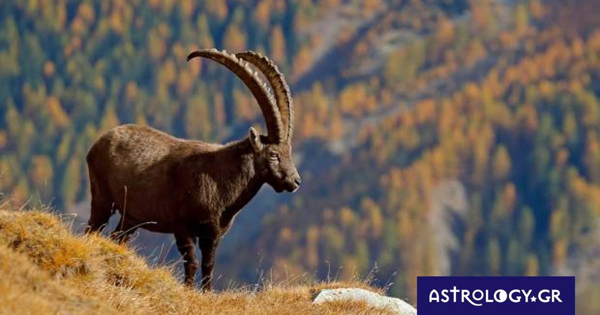 Διάβασε ΔΩΡΕΑΝ την προσωπική σου πρόβλεψη, για σήμερα 24/10/2022