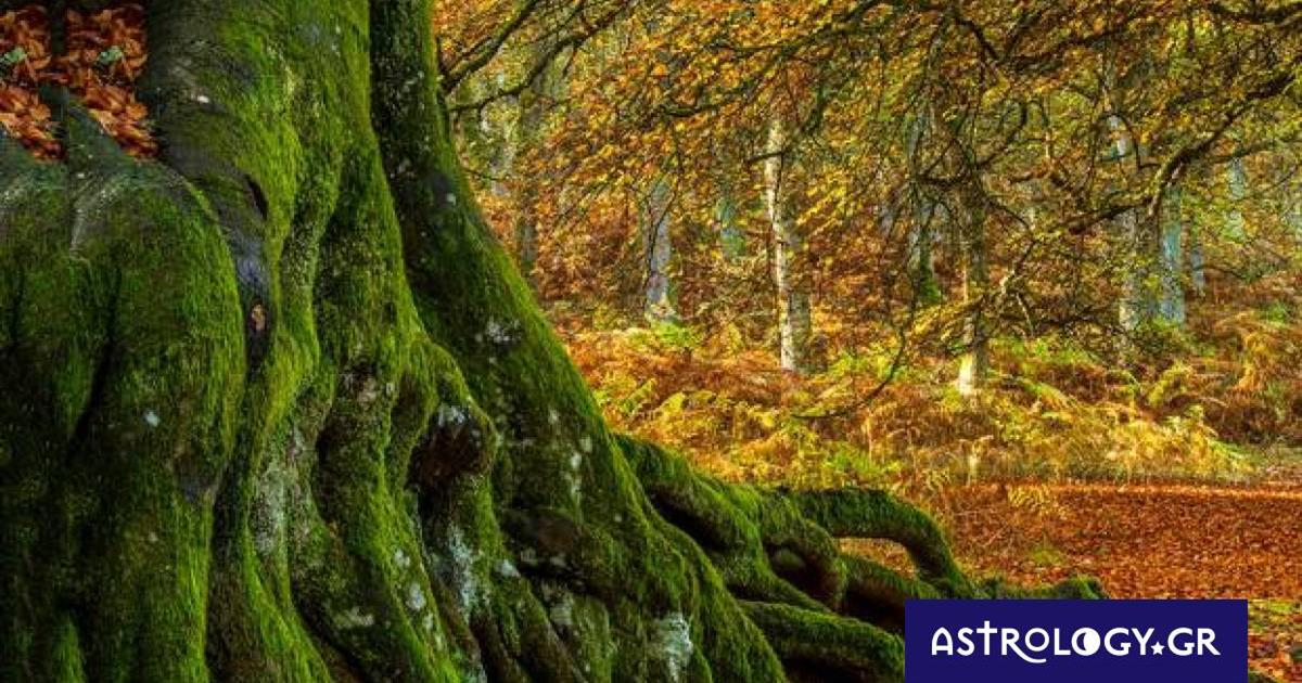 Διάβασε ΔΩΡΕΑΝ την προσωπική σου πρόβλεψη, για σήμερα 25/10/2022