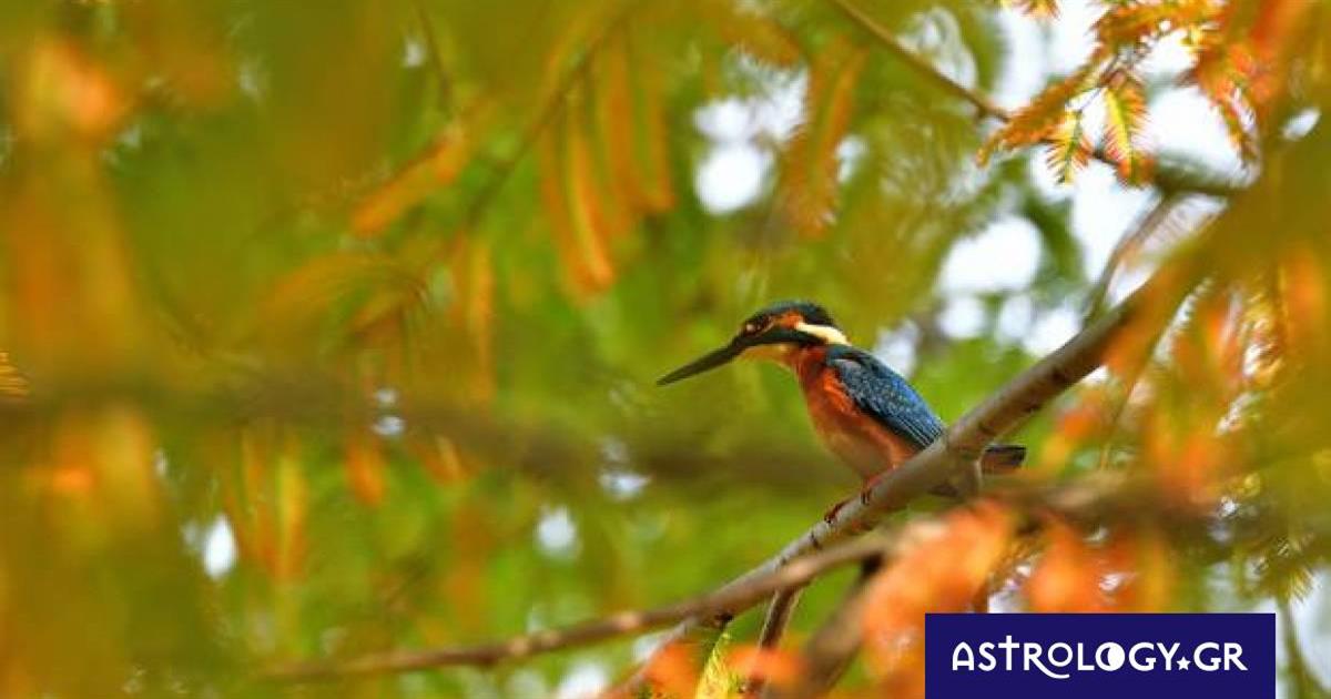 Διάβασε ΔΩΡΕΑΝ την προσωπική σου πρόβλεψη, για σήμερα 26/10/2022