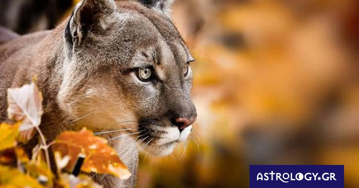 Διάβασε ΔΩΡΕΑΝ την προσωπική σου πρόβλεψη, για σήμερα 28/10/2022