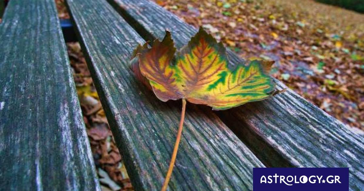 Ημερήσιες Προβλέψεις για όλα τα Ζώδια, 06/10