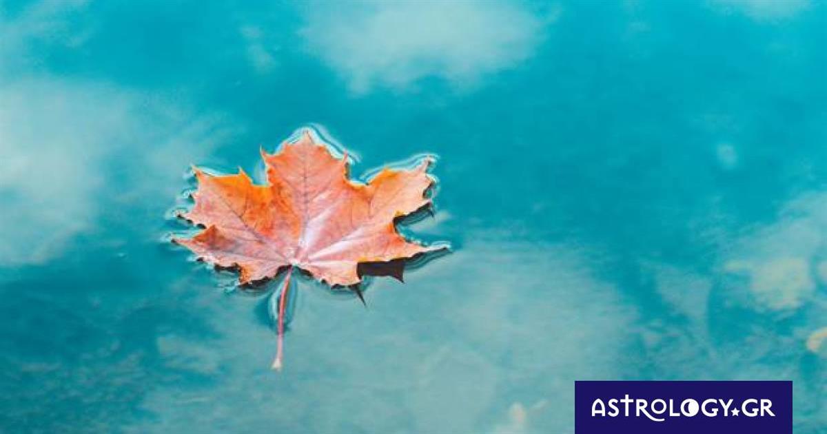 Ημερήσιες Προβλέψεις για όλα τα Ζώδια, 15/10