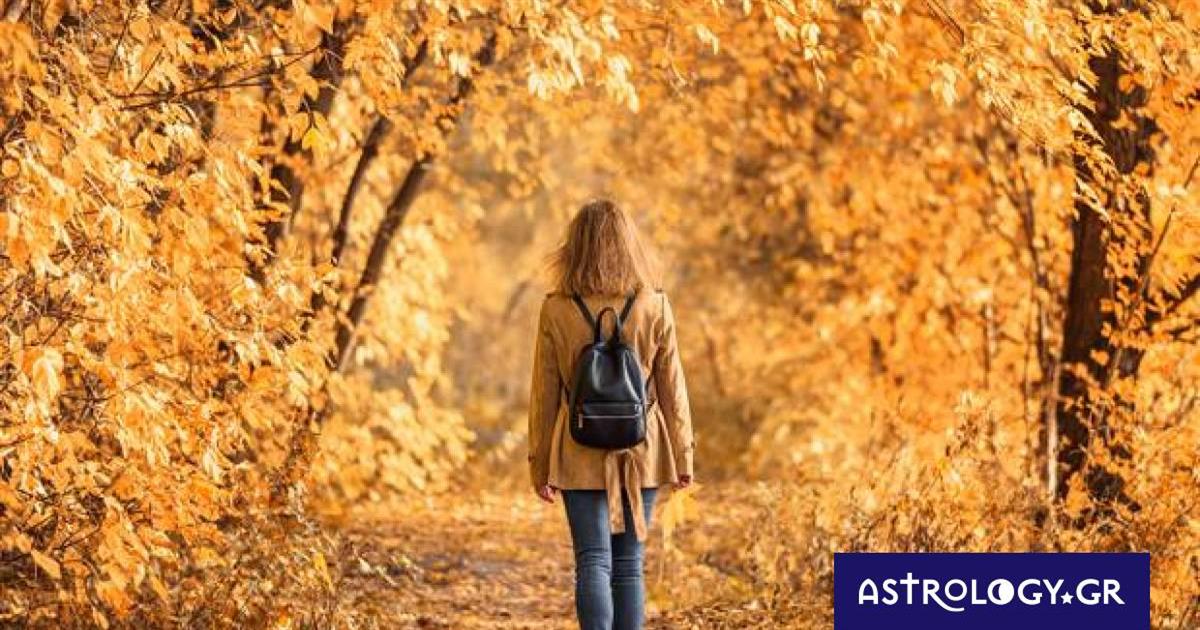 Ημερήσιες Προβλέψεις για όλα τα Ζώδια, 19/10