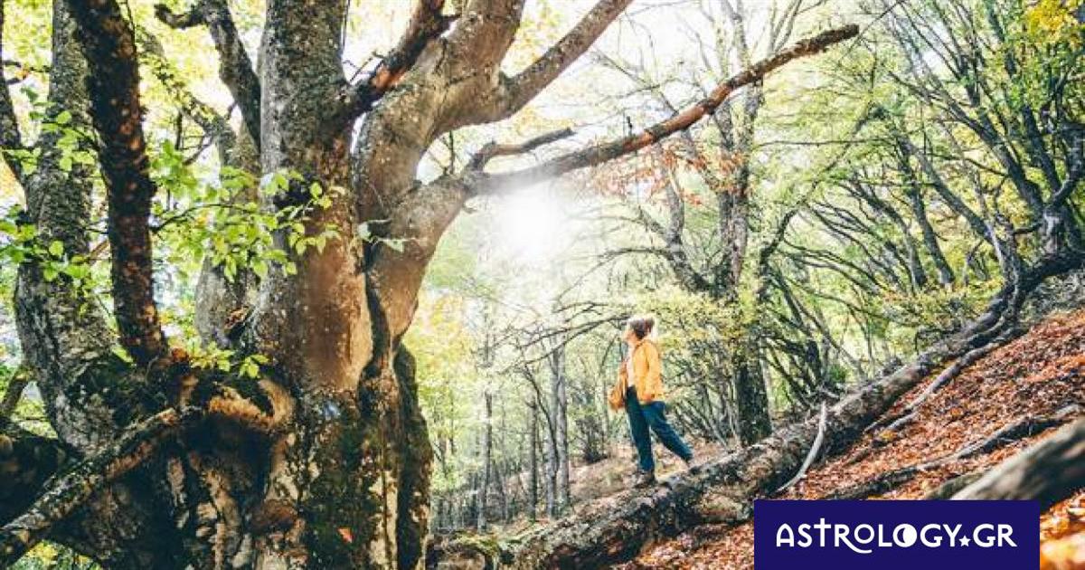 Ημερήσιες Προβλέψεις για όλα τα Ζώδια, 22/10