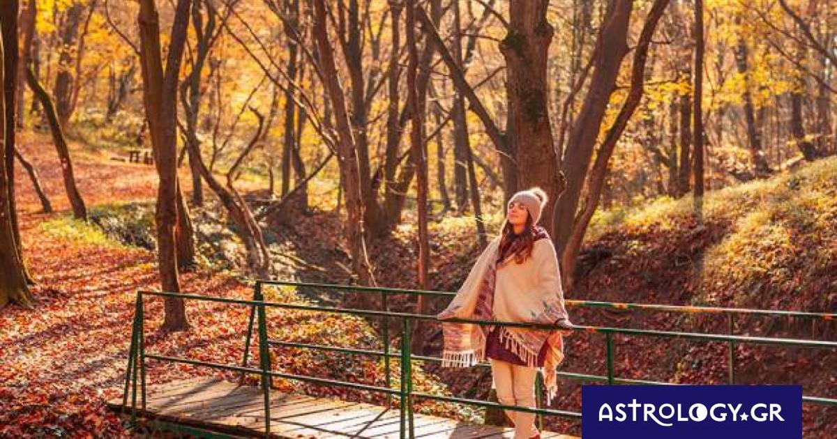 Ημερήσιες Προβλέψεις για όλα τα Ζώδια, 23/10