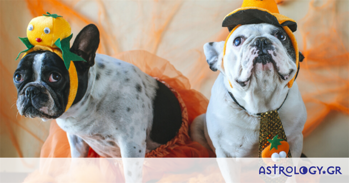 Τα 4 ζώδια που μισούν τις Απόκριες