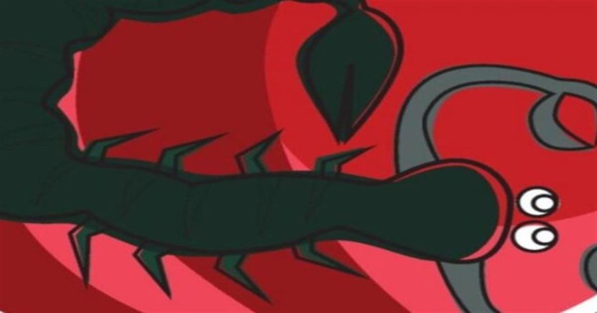 Τα 5 άπληστα ζώδια – Τους νοιάζει μόνο ο εαυτός τους