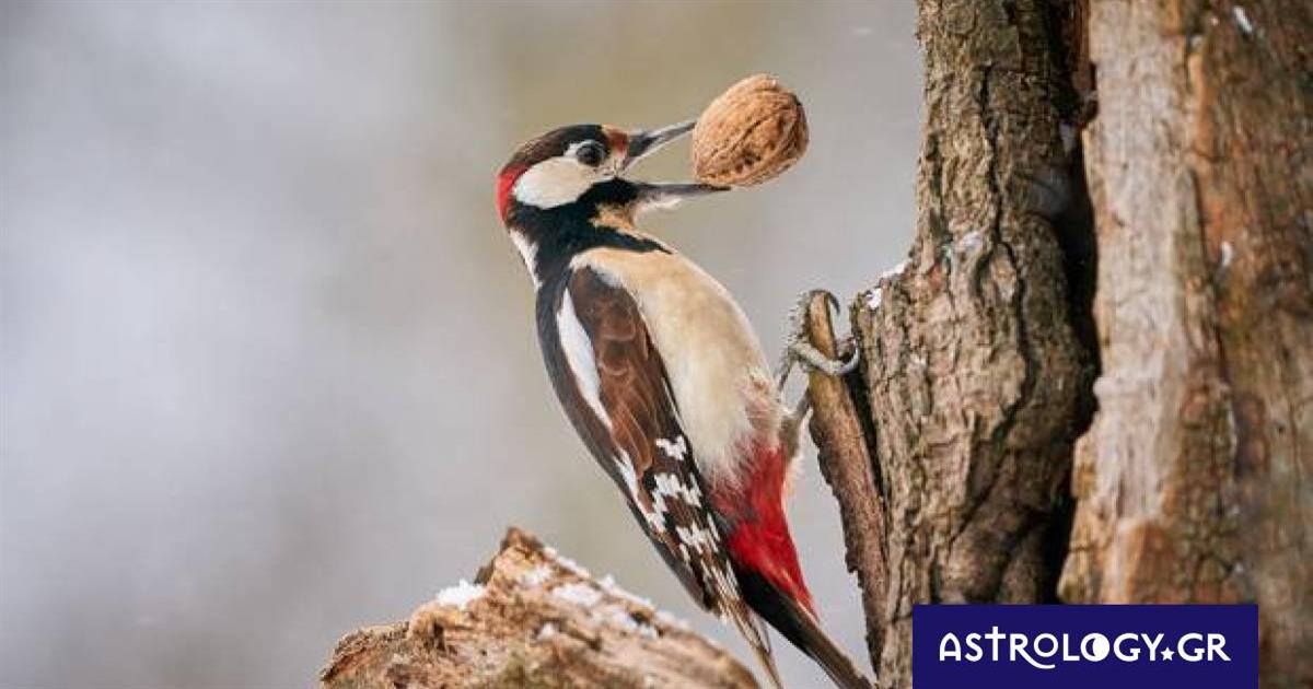 Διάβασε ΔΩΡΕΑΝ την προσωπική σου πρόβλεψη, για σήμερα 01/11/2022