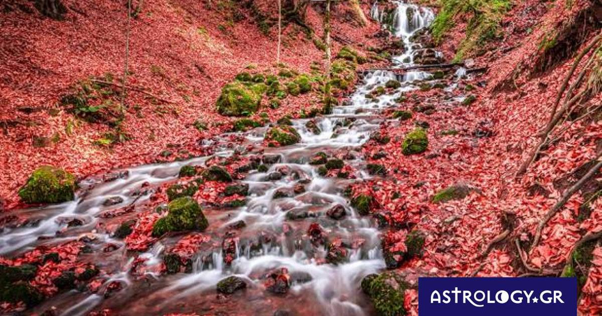 Διάβασε ΔΩΡΕΑΝ την προσωπική σου πρόβλεψη, για σήμερα 02/11/2022