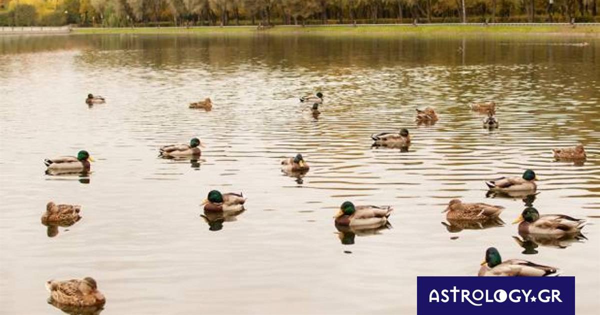 Διάβασε ΔΩΡΕΑΝ την προσωπική σου πρόβλεψη, για σήμερα 03/11/2022
