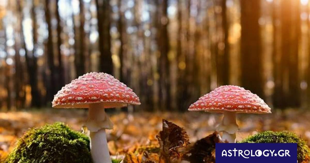 Διάβασε ΔΩΡΕΑΝ την προσωπική σου πρόβλεψη, για σήμερα 06/11/2022