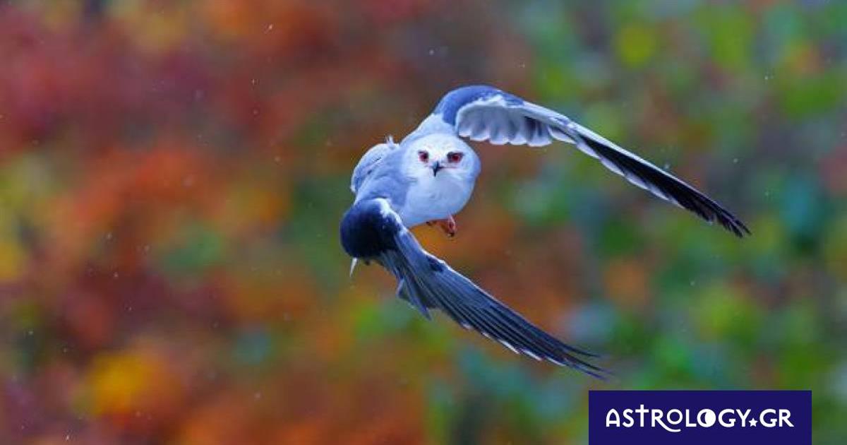 Διάβασε ΔΩΡΕΑΝ την προσωπική σου πρόβλεψη, για σήμερα 07/11/2022