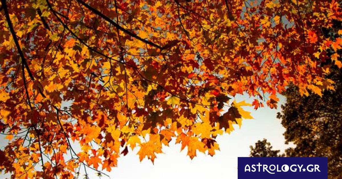 Διάβασε ΔΩΡΕΑΝ την προσωπική σου πρόβλεψη, για σήμερα 08/11/2022