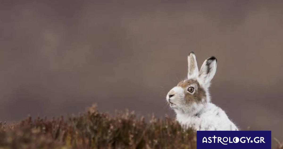 Διάβασε ΔΩΡΕΑΝ την προσωπική σου πρόβλεψη, για σήμερα 13/11/2022