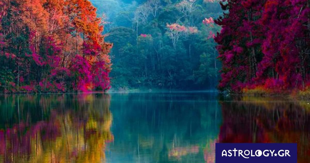 Διάβασε ΔΩΡΕΑΝ την προσωπική σου πρόβλεψη, για σήμερα 16/11/2022