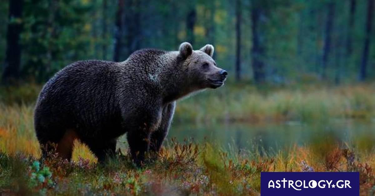 Διάβασε ΔΩΡΕΑΝ την προσωπική σου πρόβλεψη, για σήμερα 19/11/2022