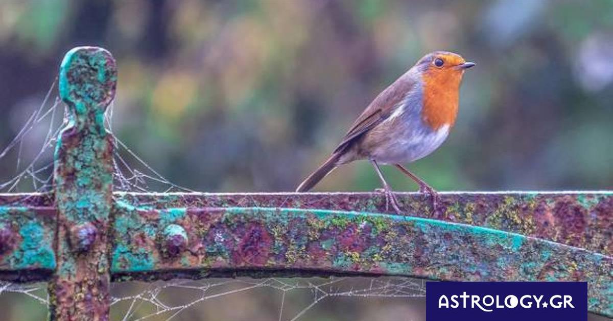 Διάβασε ΔΩΡΕΑΝ την προσωπική σου πρόβλεψη, για σήμερα 21/11/2022