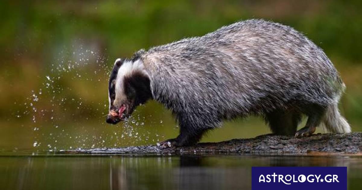 Διάβασε ΔΩΡΕΑΝ την προσωπική σου πρόβλεψη, για σήμερα 23/11/2022