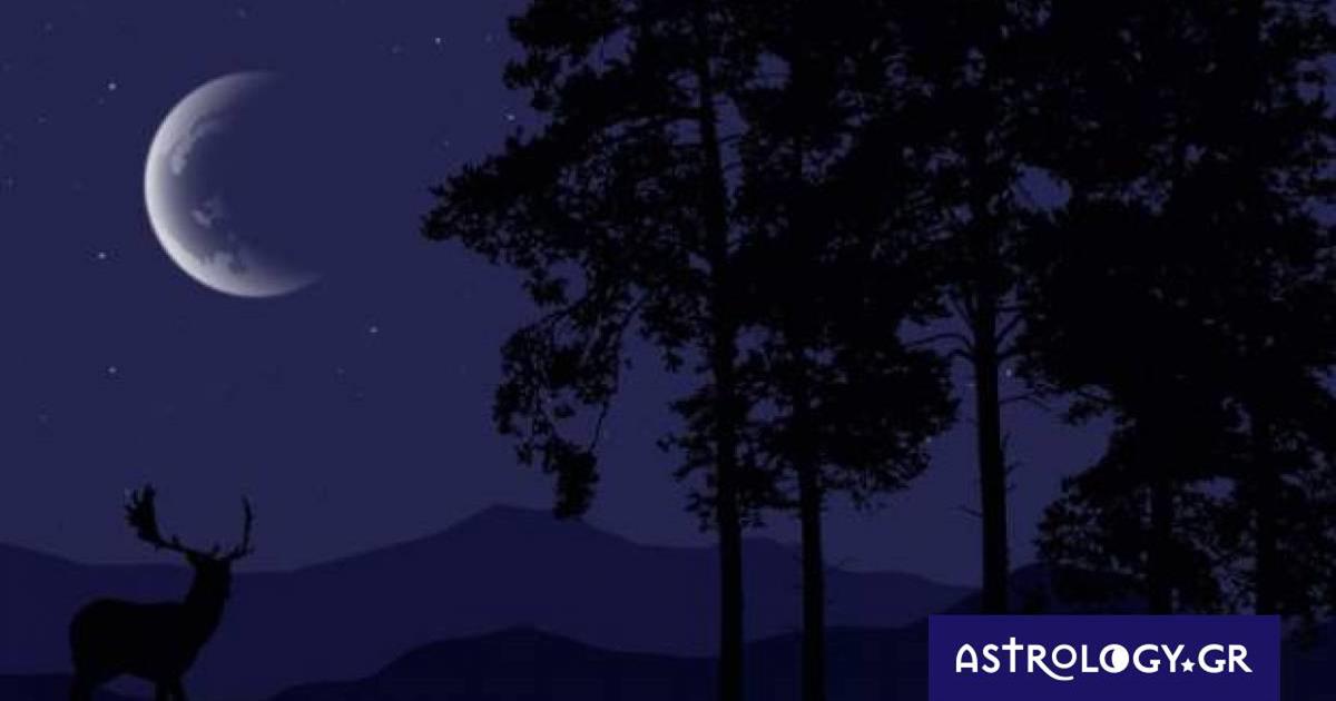 Ζώδια Σήμερα 24/11: Νέα Σελήνη στον Τοξότη: Ένα βήμα πιο πέρα!