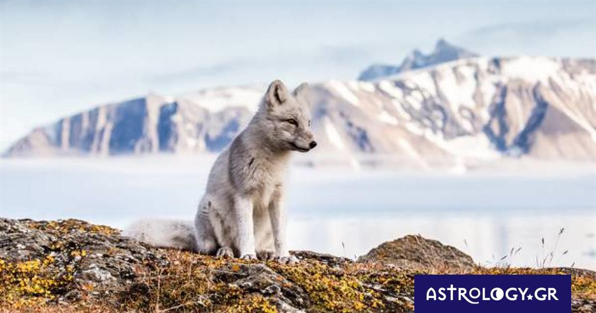 Διάβασε ΔΩΡΕΑΝ την προσωπική σου πρόβλεψη, για σήμερα 25/11/2022