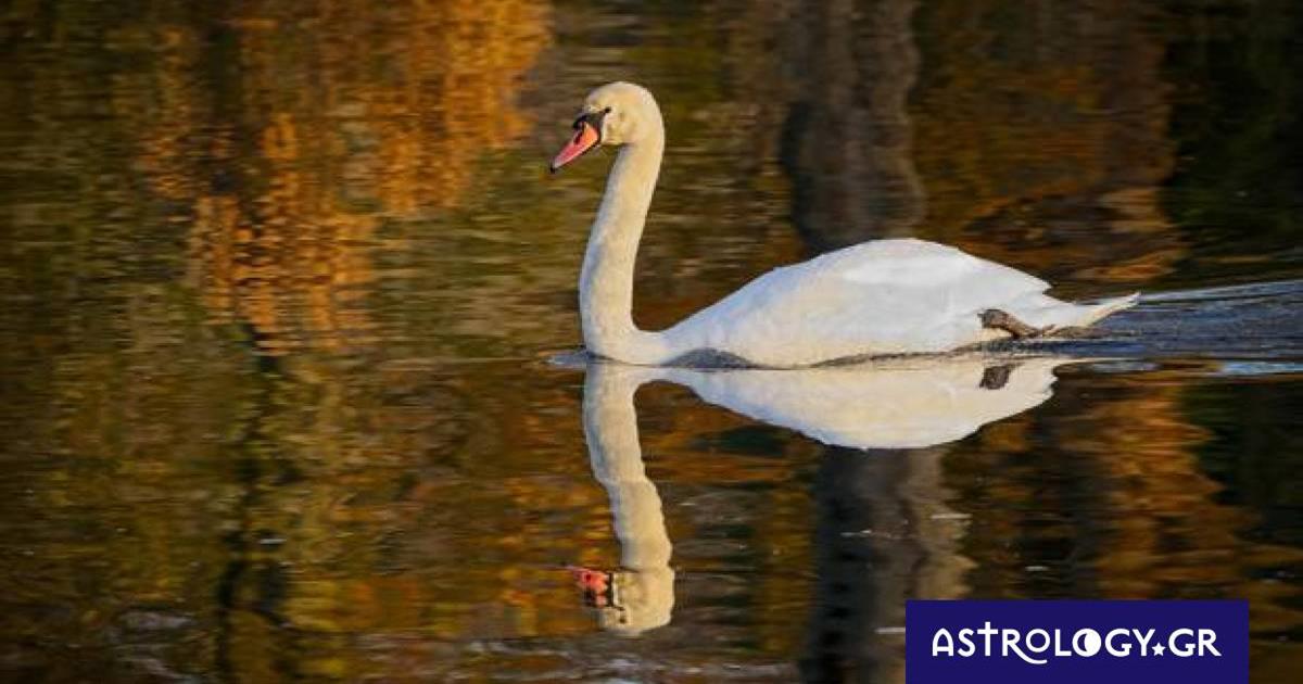 Διάβασε ΔΩΡΕΑΝ την προσωπική σου πρόβλεψη, για σήμερα 27/11/2022