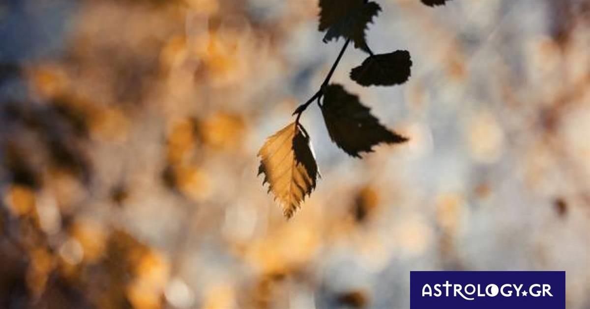 Διάβασε ΔΩΡΕΑΝ την προσωπική σου πρόβλεψη, για σήμερα 28/11/2022