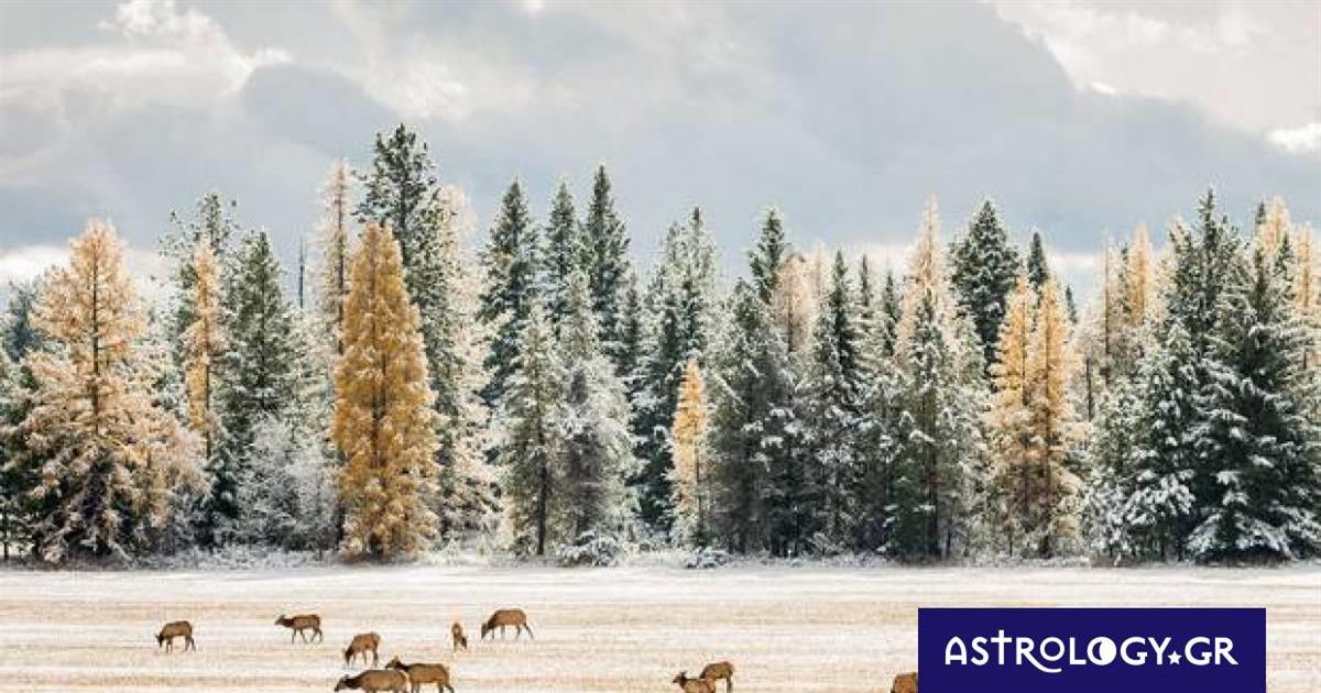 Διάβασε ΔΩΡΕΑΝ την προσωπική σου πρόβλεψη, για σήμερα 29/11/2022