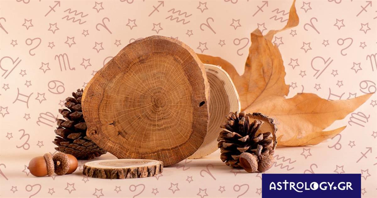 Εβδομαδιαίες προβλέψεις από 27/11 έως 03/12: Κόντρα στην κόντρα