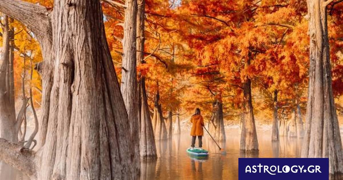 Ημερήσιες Προβλέψεις για όλα τα Ζώδια, 06/11