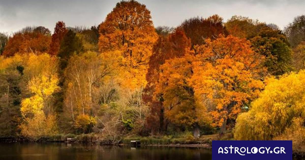 Τι λένε τα άστρα για τον Νοέμβριο του 2022
