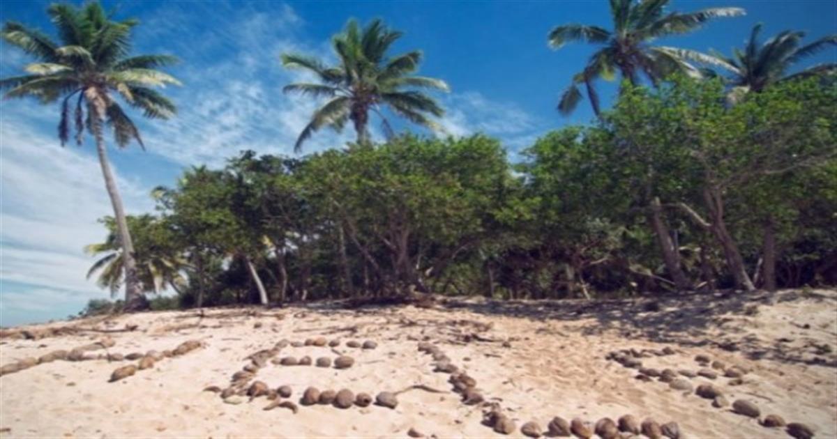 Έπος: Έτσι θα αντιδρούσαν τα ζώδια αν ήταν ναυαγοί!