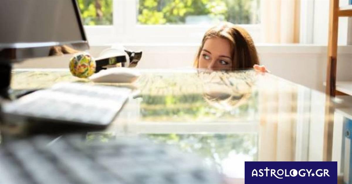 Αυτά τα ζώδια κινούνται αθόρυβα, μέχρι να φτάσουν στην κορυφή