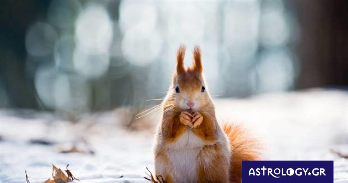 Διάβασε ΔΩΡΕΑΝ την προσωπική σου πρόβλεψη, για σήμερα 01/12/2022