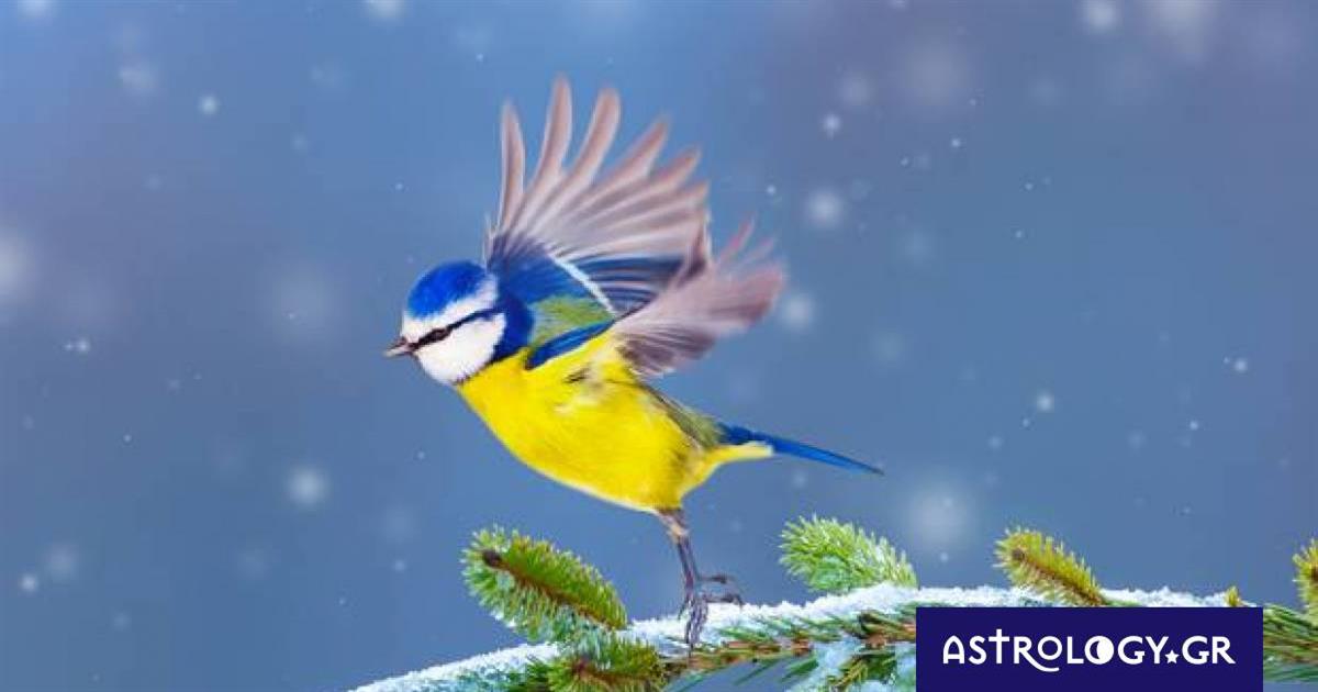 Διάβασε ΔΩΡΕΑΝ την προσωπική σου πρόβλεψη, για σήμερα 05/12/2022