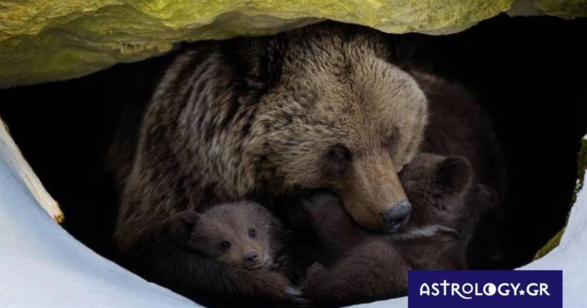 Διάβασε ΔΩΡΕΑΝ την προσωπική σου πρόβλεψη, για σήμερα 07/12/2022