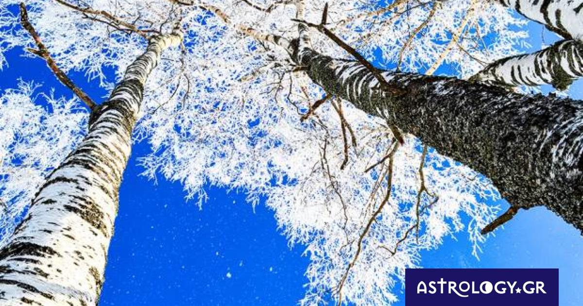 Διάβασε ΔΩΡΕΑΝ την προσωπική σου πρόβλεψη, για σήμερα 08/12/2022