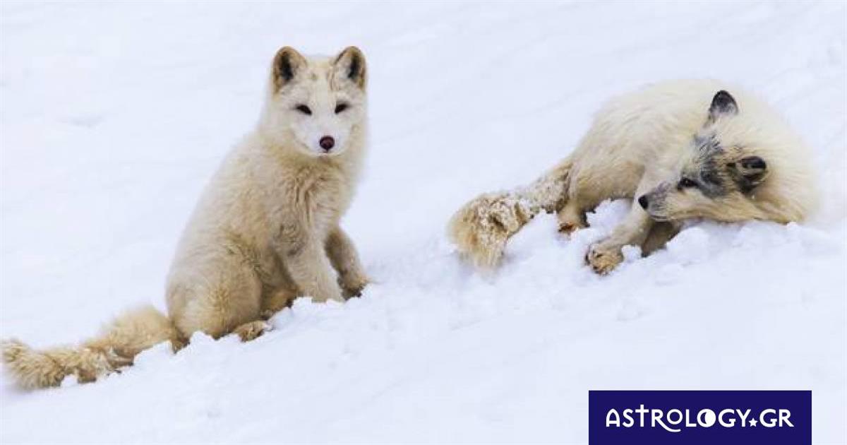 Διάβασε ΔΩΡΕΑΝ την προσωπική σου πρόβλεψη, για σήμερα 09/12/2022